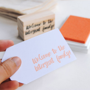 VersaCraft salmon ink pad (paper, fabric and wood)