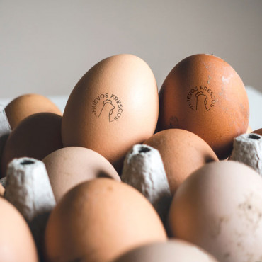 rubber stamp Fresh Egg Stamp - Chicken in Various Languages to choose