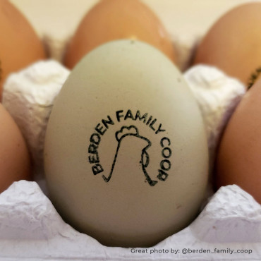 custom stamp for Fresh Eggs, chicken or duck model to choose for egg stamping or eggs carton