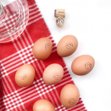 rubber stamp Fresh Egg Stamp - Chicken in Various Languages to choose