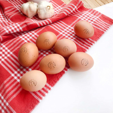 rubber stamp Fresh Egg Stamp - Chicken in Various Languages to choose