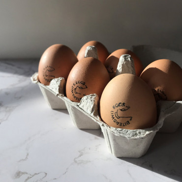 sello Huevos Frescos (pato o gallina) personalizado para huevos y cartón de huevos