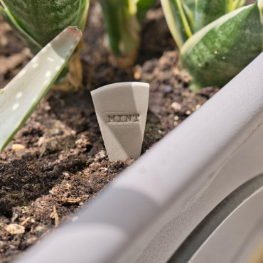 Mini segells en català per marcar plantes, etiquetes ceràmica per testos hort urbà cuina